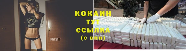скорость Нея