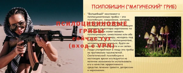 ешки Нефтегорск