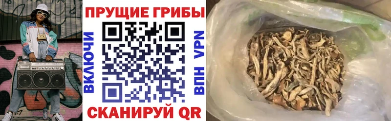 гидра ссылка  Яранск  Галлюциногенные грибы MAGIC MUSHROOMS  как найти закладки 